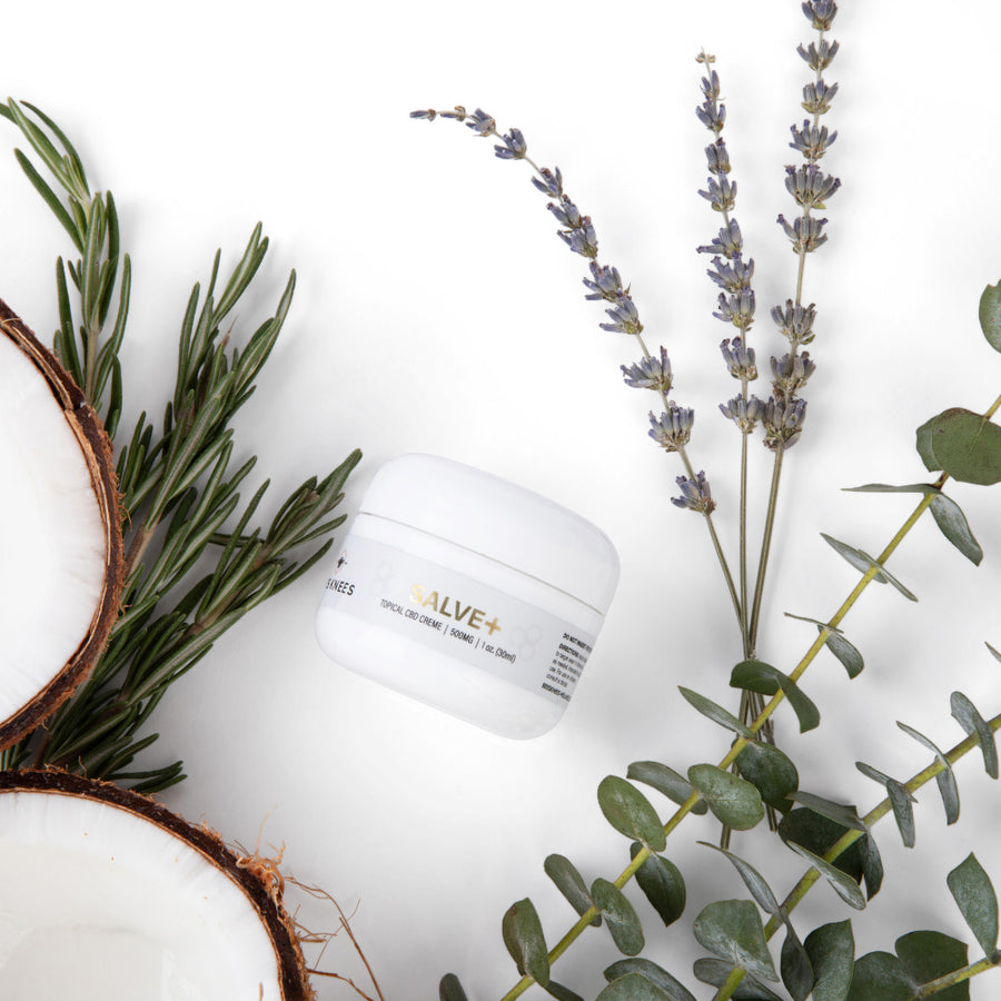 Full Spectrum CBD Salve 500 mg