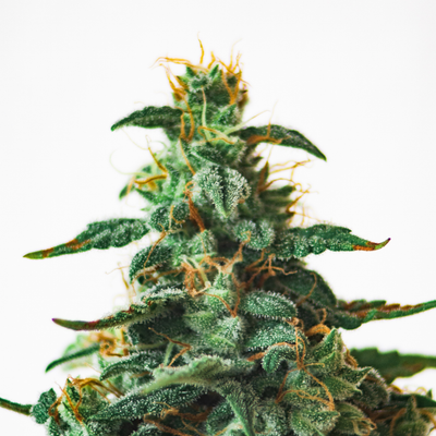 Delta-8 THC